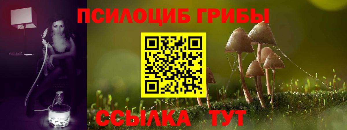Жуковский  Галлюциногенные грибы MAGIC MUSHROOMS  Вход с VPN 